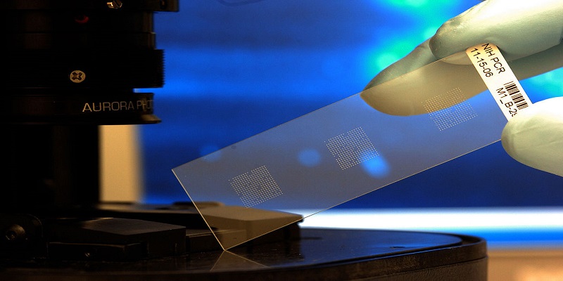 Biochips Market - Analysis & Consulting (2025 - 2030)